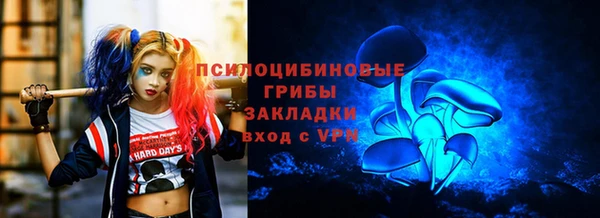 стафф Абинск