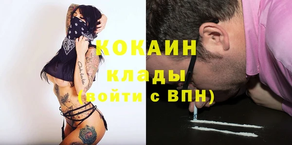 тгк Алексин