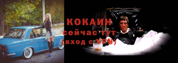 Альфа ПВП Инта