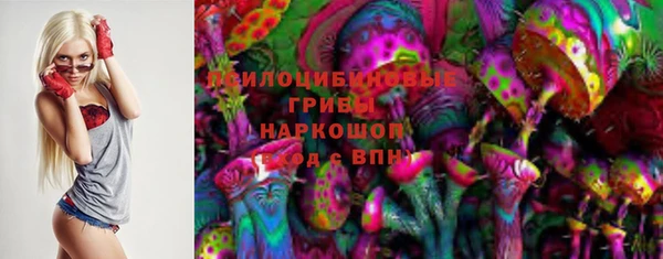 стафф Абинск