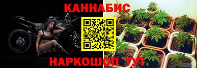 стафф Кимры
