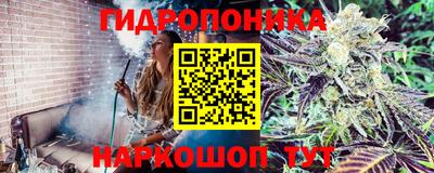 не бодяженный Кинель