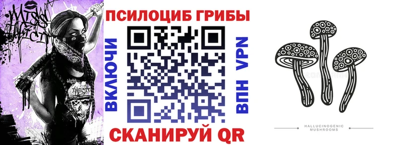 дарнет шоп  Уфа  Псилоцибиновые грибы мицелий 