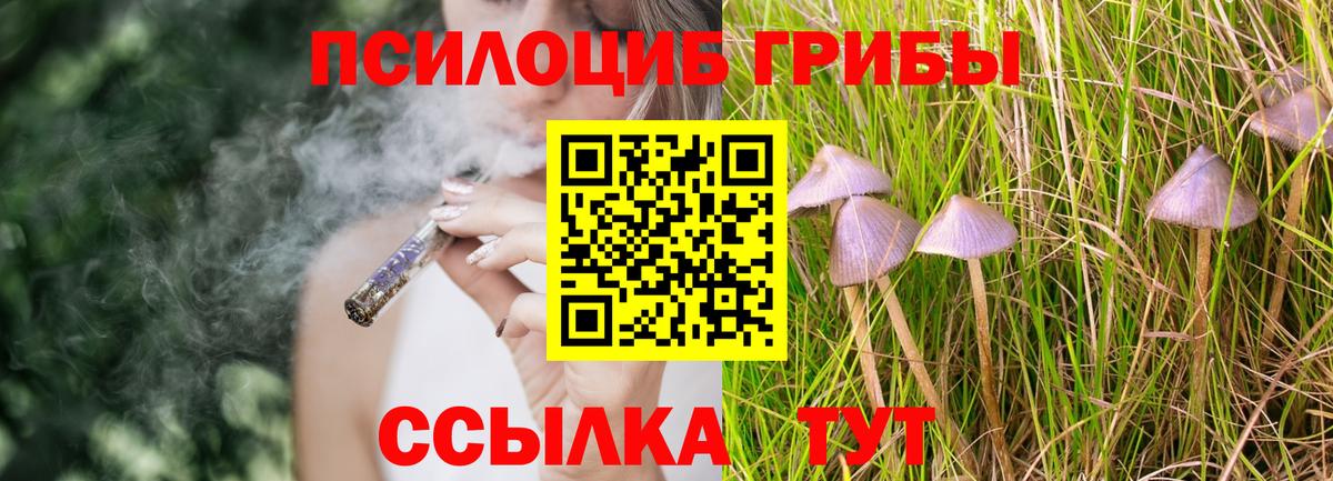 Псилоцибиновые грибы Psilocybe  Псилоцибиновые грибы MAGIC MUSHROOMS  Вход с VPN  Уфа 