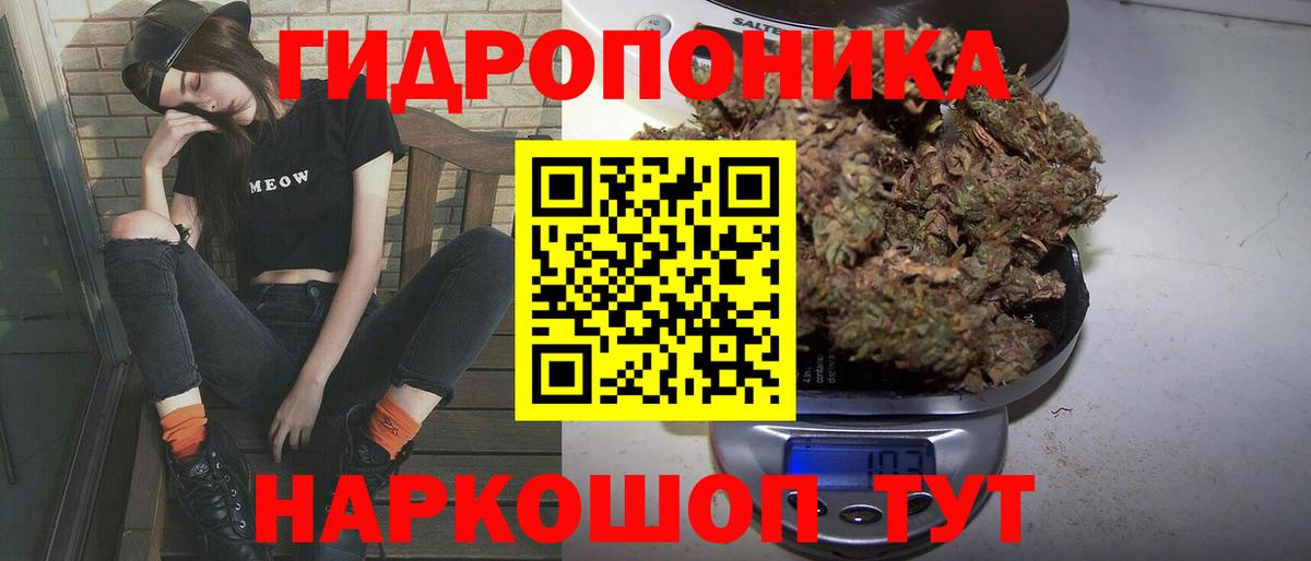 Шишки марихуана план  Вход с VPN  Бошки марихуана индика  Канабис тримм  Уфа  Бошки Шишки планчик 
